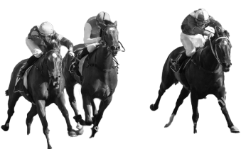 Grayscale horses racing with no background