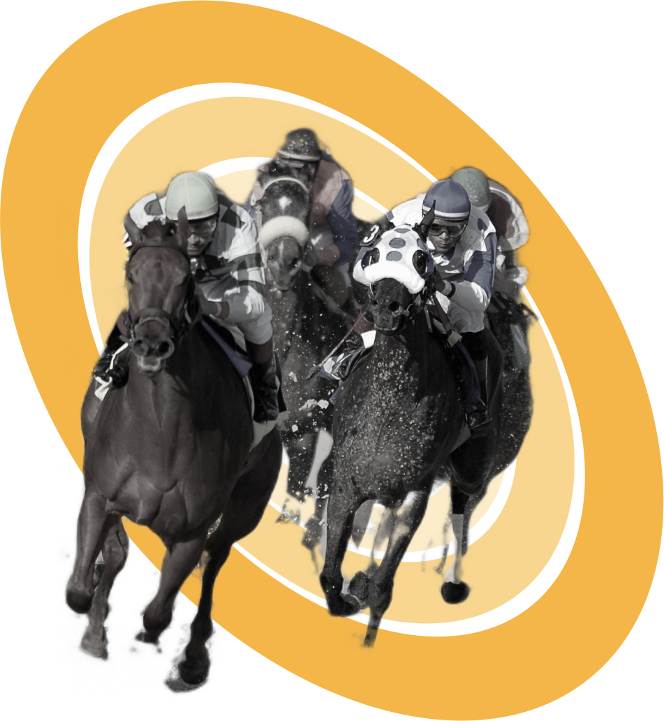 greyscale horses on yellow circles background