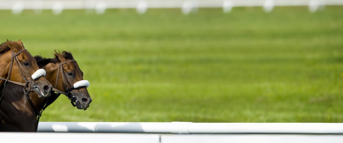 two horses and the space ahead of them in a race