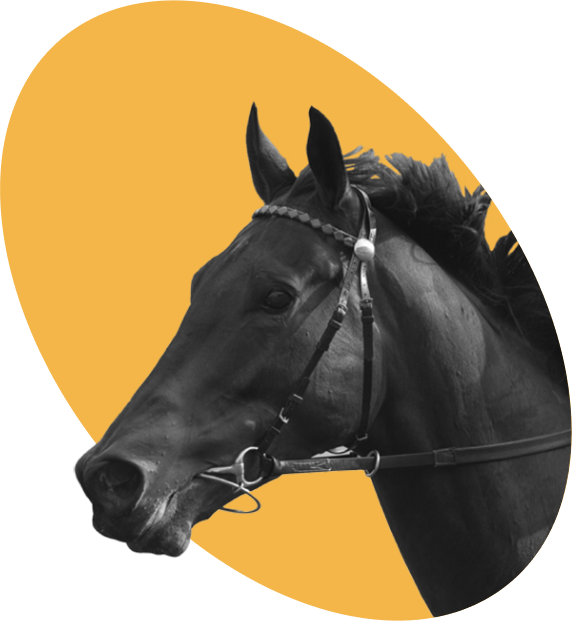 Headshot of a with a yellow circle background